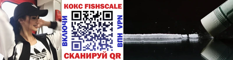Купить  Оса  COCAIN VHQ 