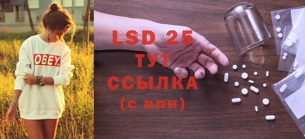 индика Верея
