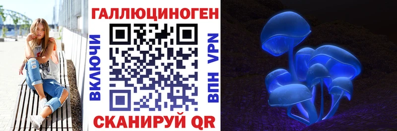 Купить закладки  Оса  Псилоцибиновые грибы мухоморы 