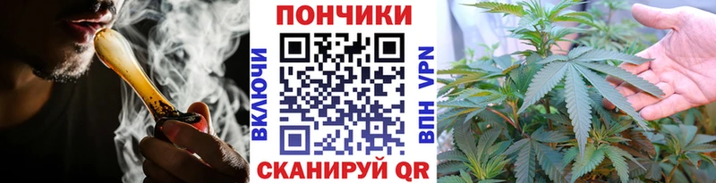 Купить закладки  Оса  Каннабис сатива 